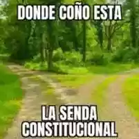 Free download La senda constitucional [ Meme ] free photo or picture to be edited with GIMP online image editor
